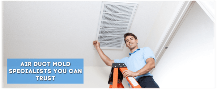 Air Duct Mold Removal in Hoffman Estates IL