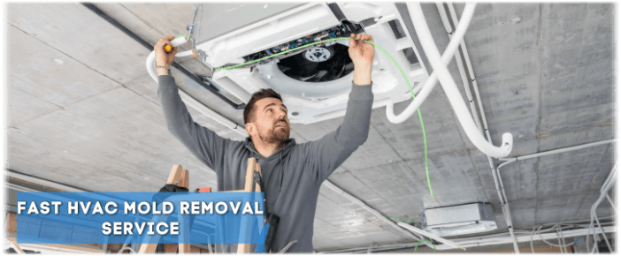 HVAC Mold Removal Hoffman Estates IL